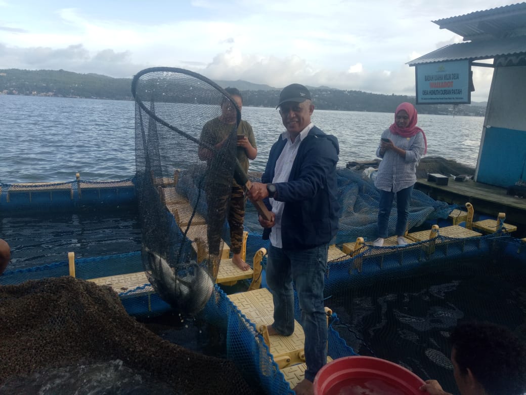 BUMDES WAISAROT Desa Hunuth,  Panen Perdana Hasil Budidaya Ikan Bubara